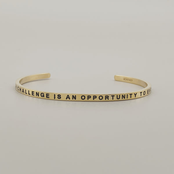 Each Challenge is an Opportunity To Evolve