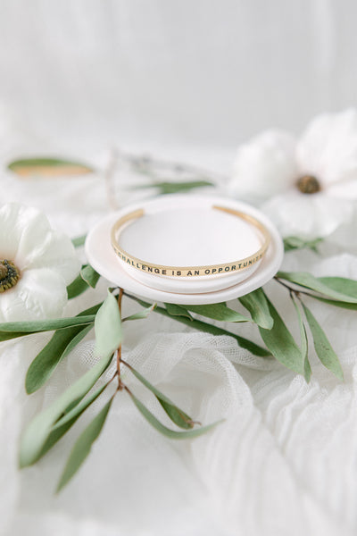 Each Challenge is an Opportunity To Evolve